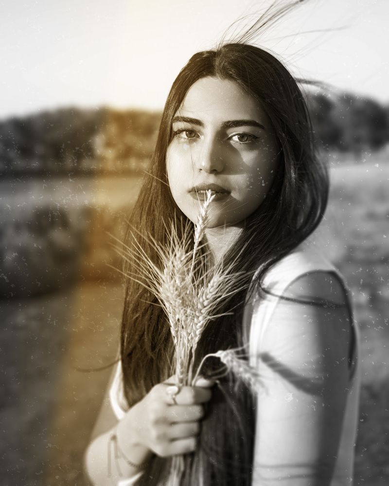 Photograph by Reza Mohammadi