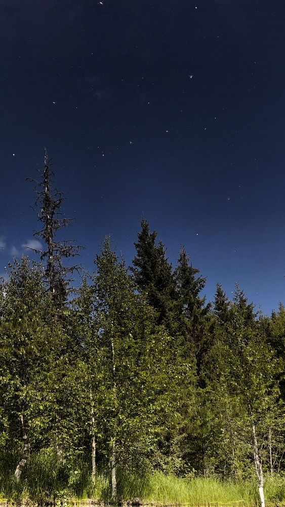 Photograph by Алёна Вороная