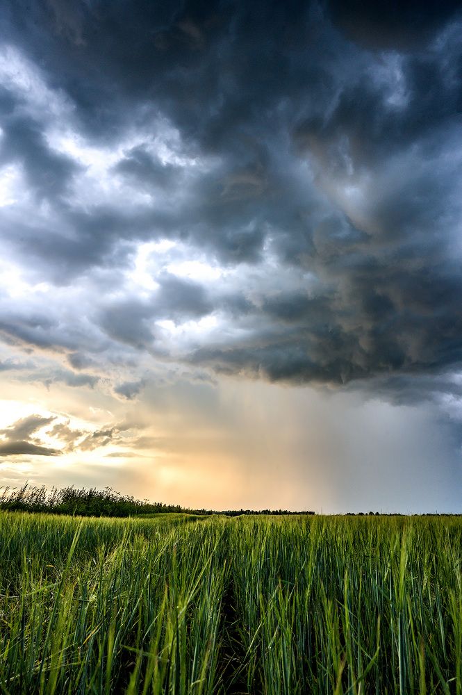 Photograph by Дмитрий Левин