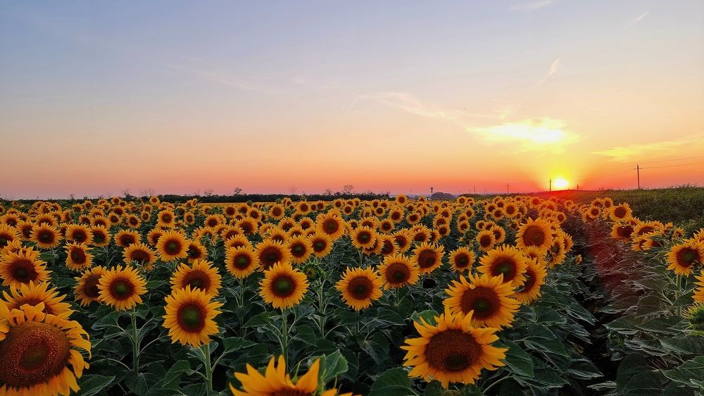 Photograph by Альбина Гайфуллина