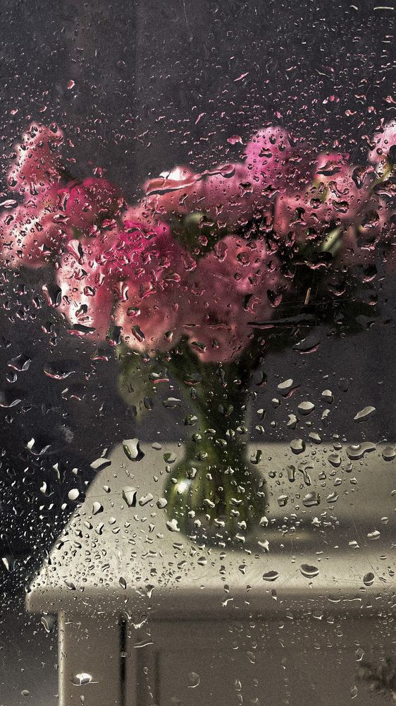 Photograph by Марина Маркосян