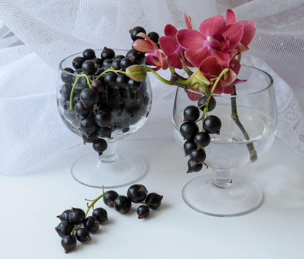 Orchid flower and blackcurrant in a glass