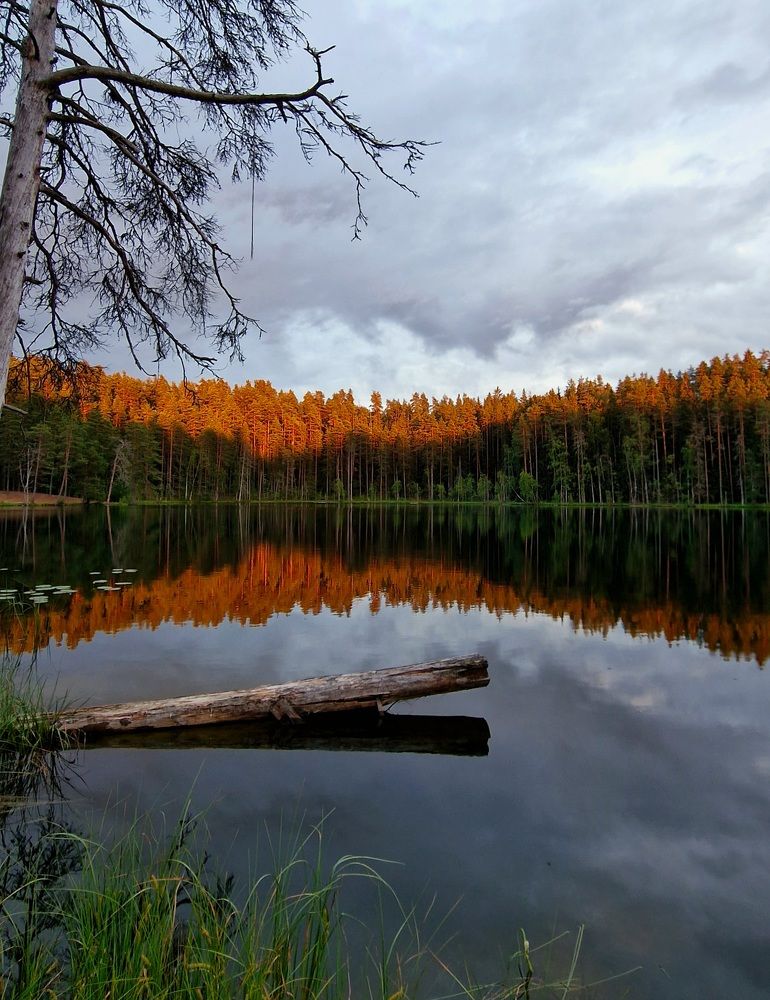 Photograph by Алёна Губинская