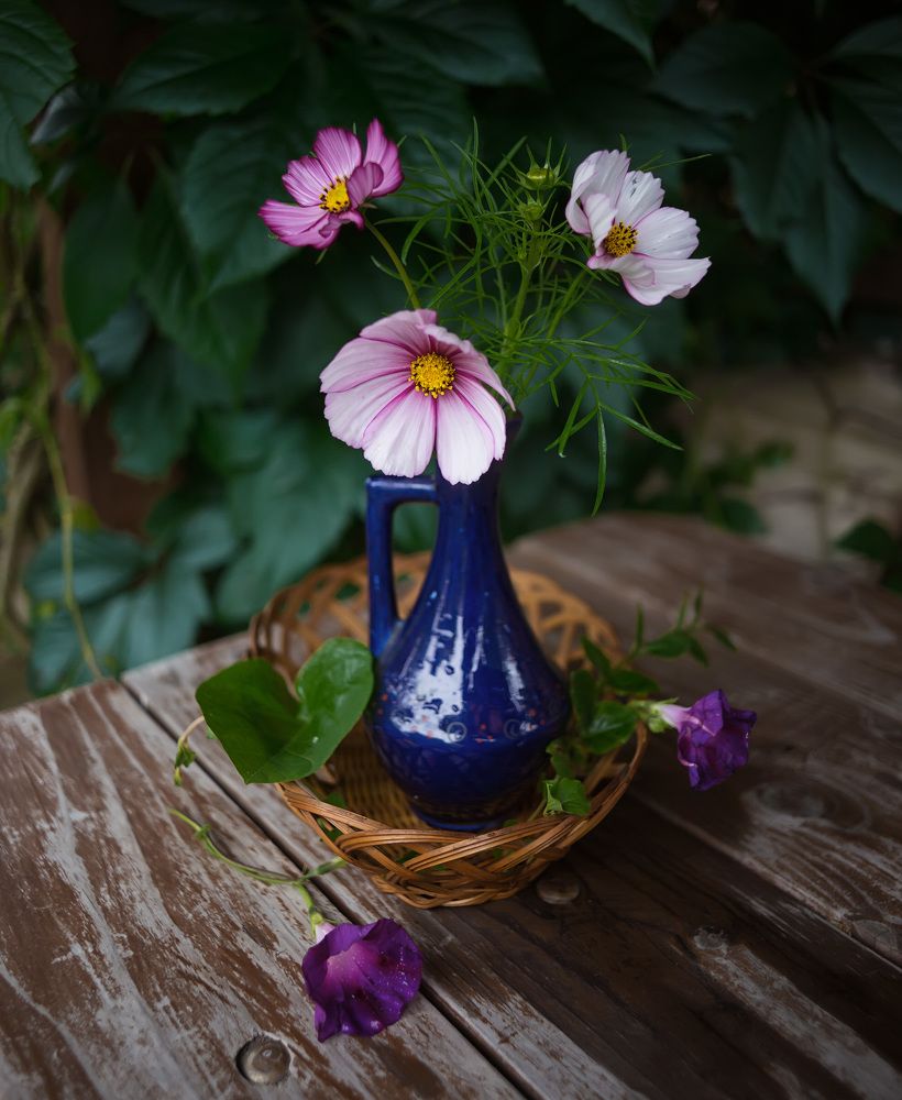 Photograph by Владимир Архипов