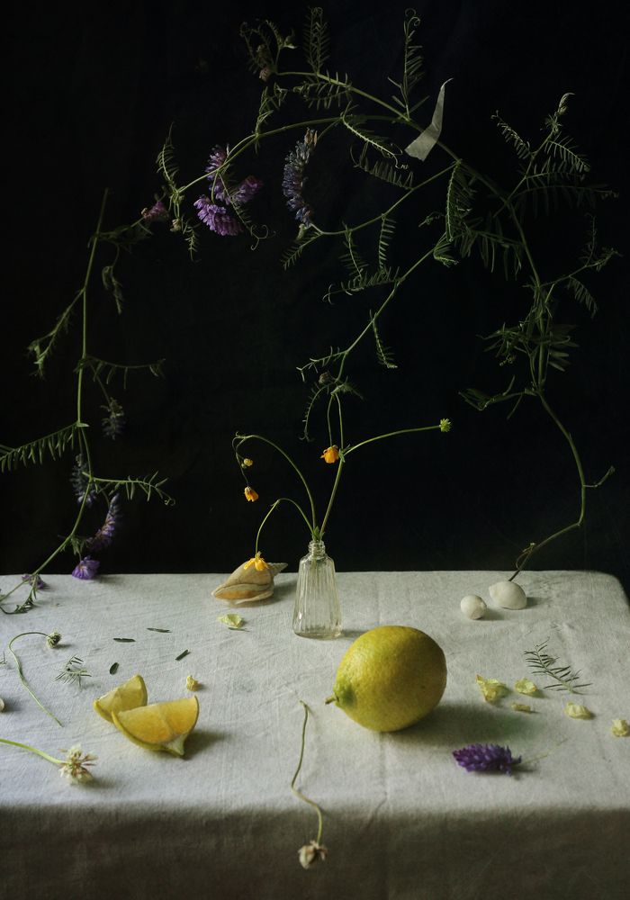 Photograph by Мария Сапего