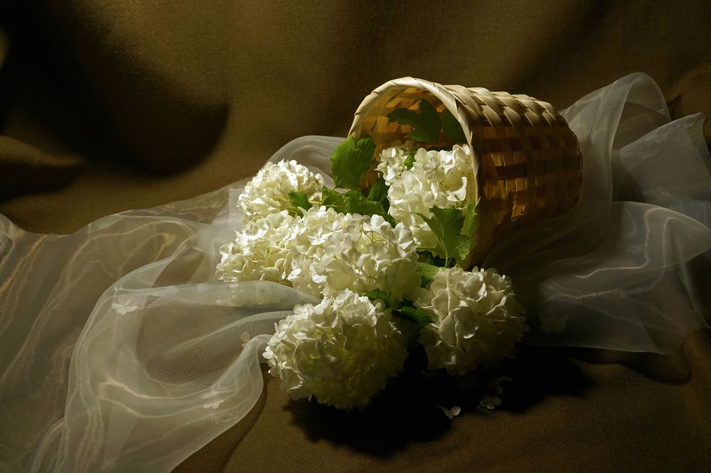 Photograph by Tatiana Glazkova