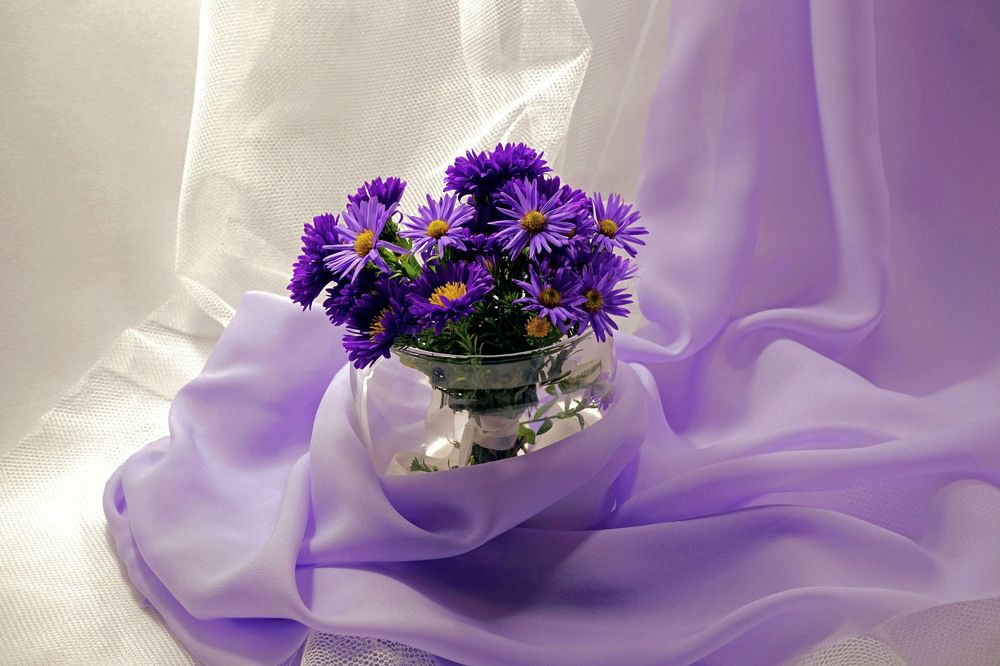 Photograph by Tatiana Glazkova