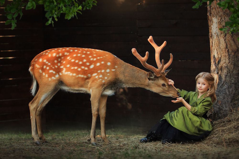 Photograph by Дарья Ералева