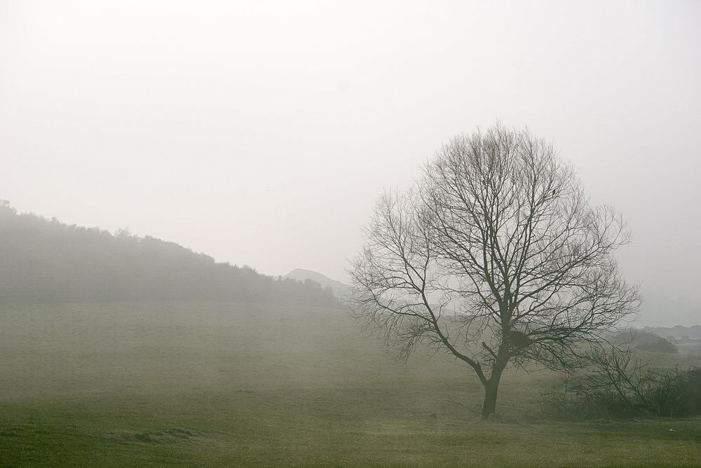 Photograph by Khosro Judi