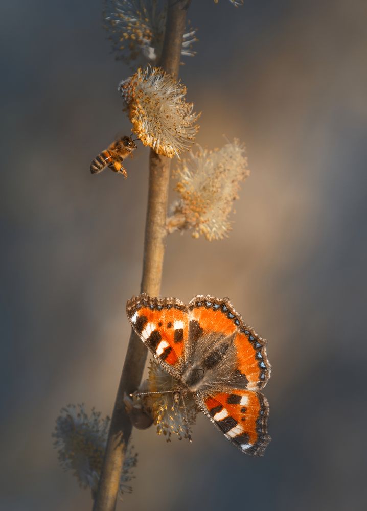 Photograph by Роман Филиповец