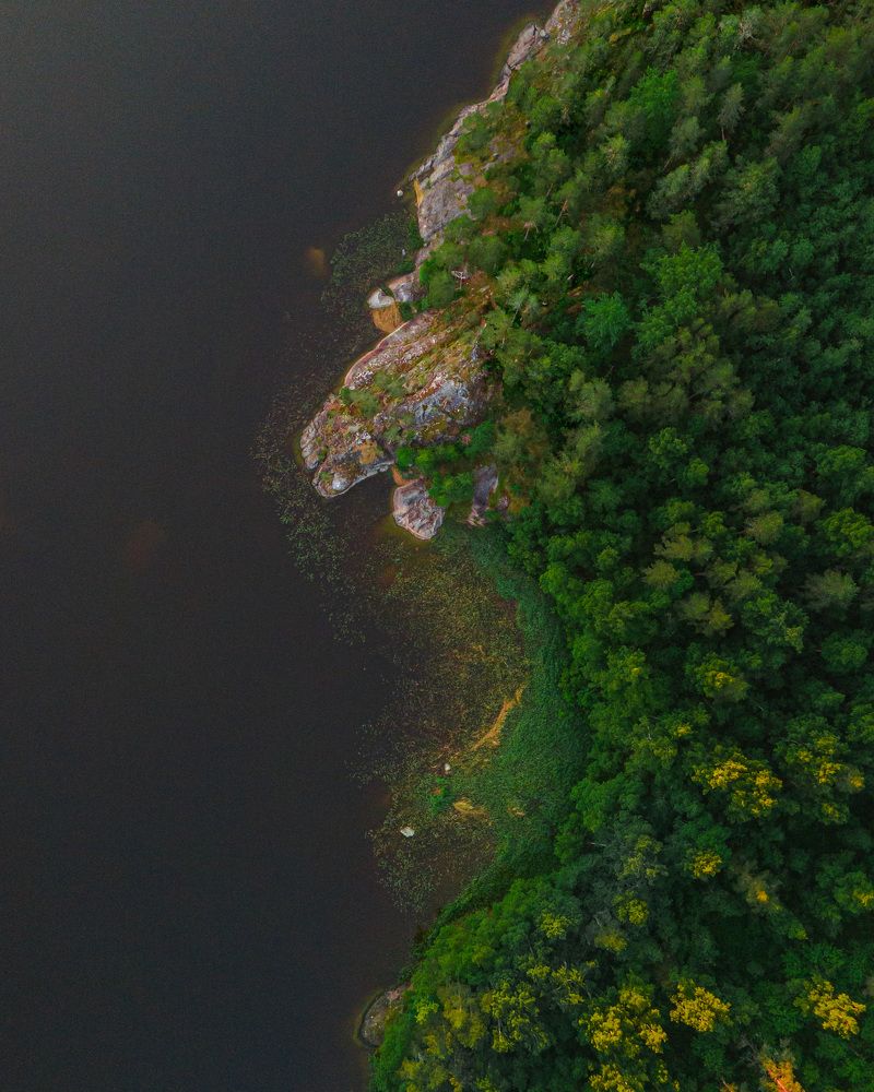 Photograph by Александр Сочнев