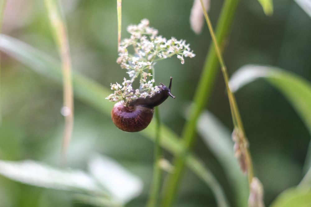 Photograph by Надежда