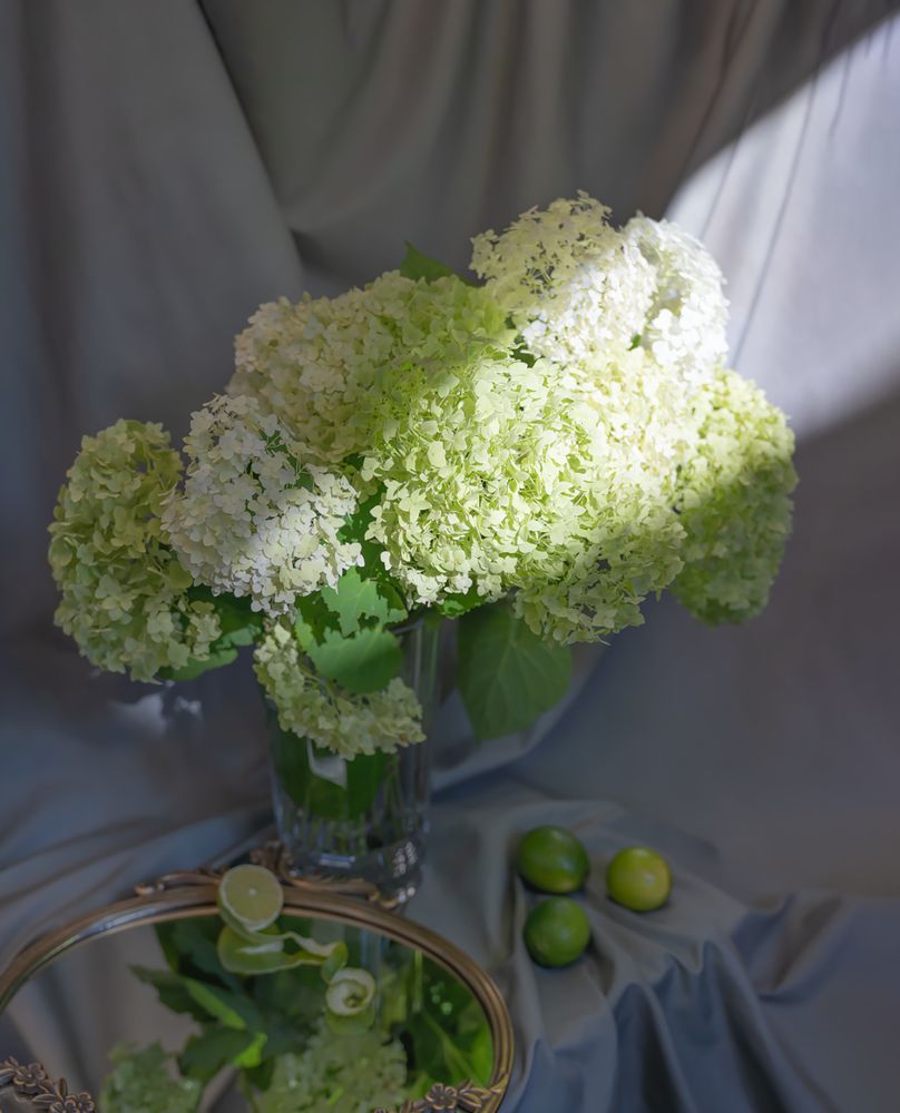 Photograph by Алина Еникеева