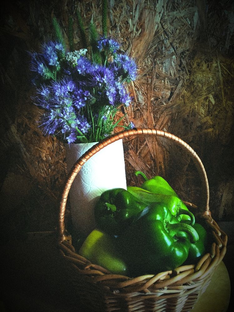 Photograph by Нина Мехнина