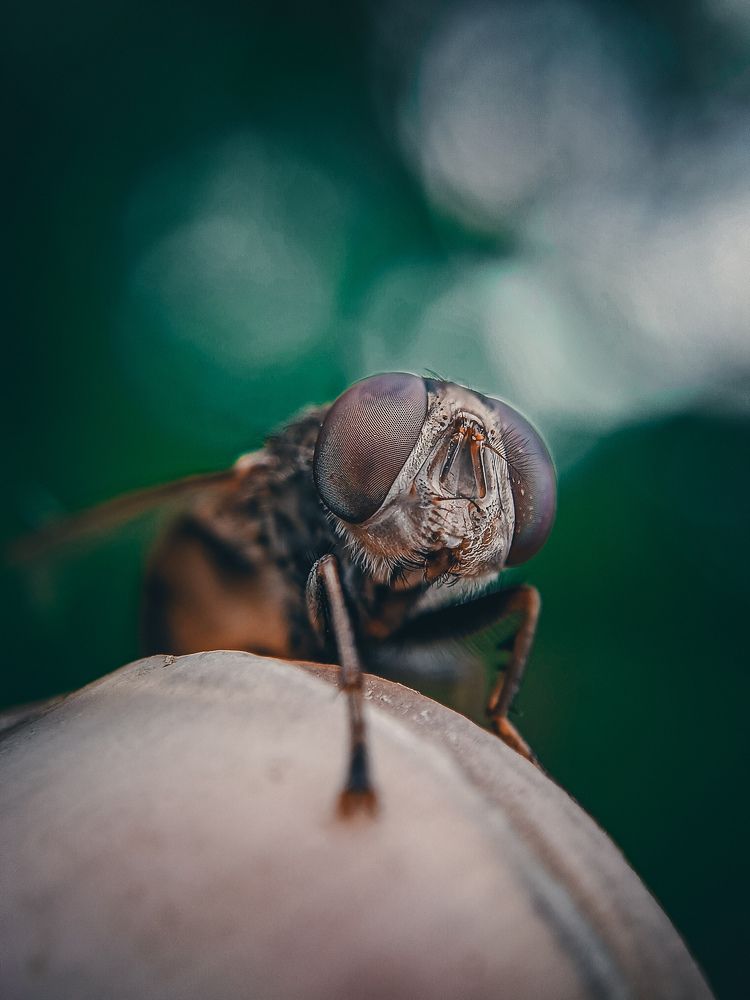 Photograph by Ankit Vishwakarma