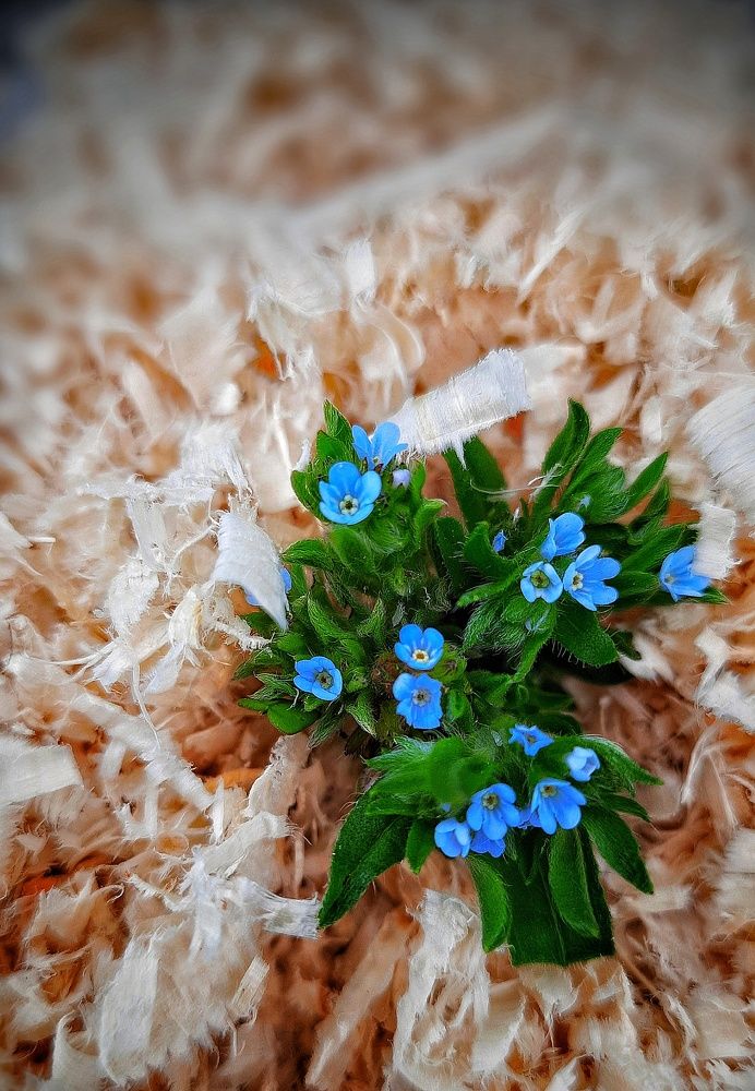 Photograph by Наталья Чередниченко