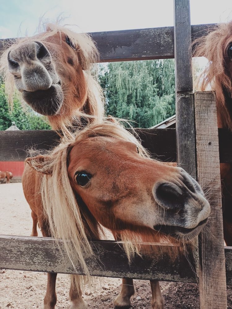 Photograph by Ирина Иванова