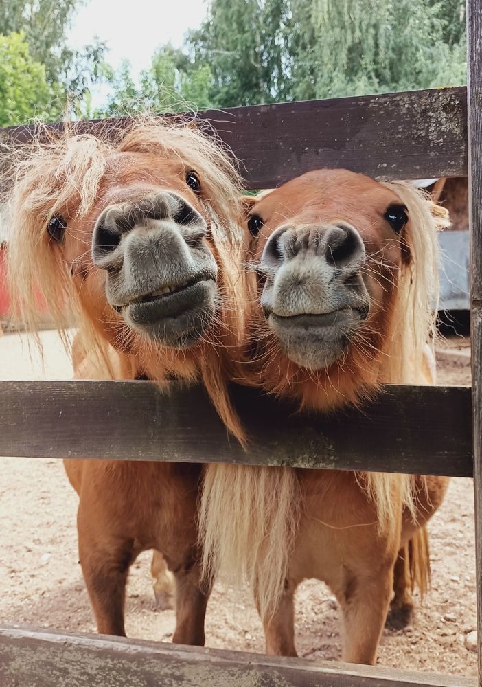 Photograph by Ирина Иванова