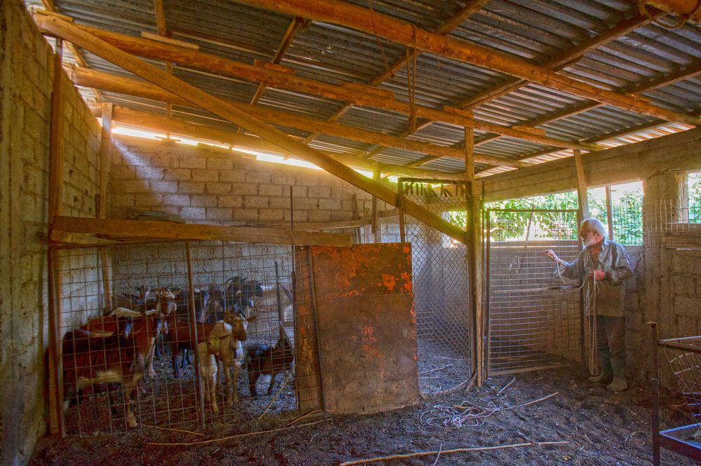 Фотография автора FOTINI KALTSIDOU