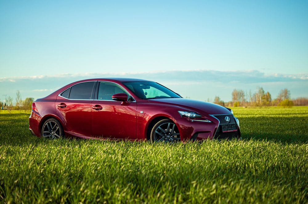 Photograph by Сергей Герасимов