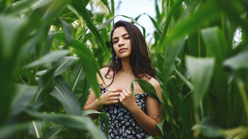 Photograph by Дмитрий Гусев