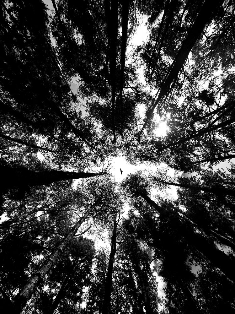 Photograph by sagar pavale