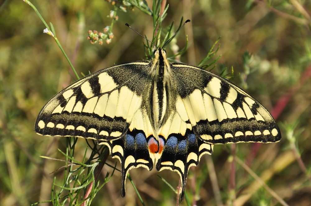 Photograph by Александр Штифман