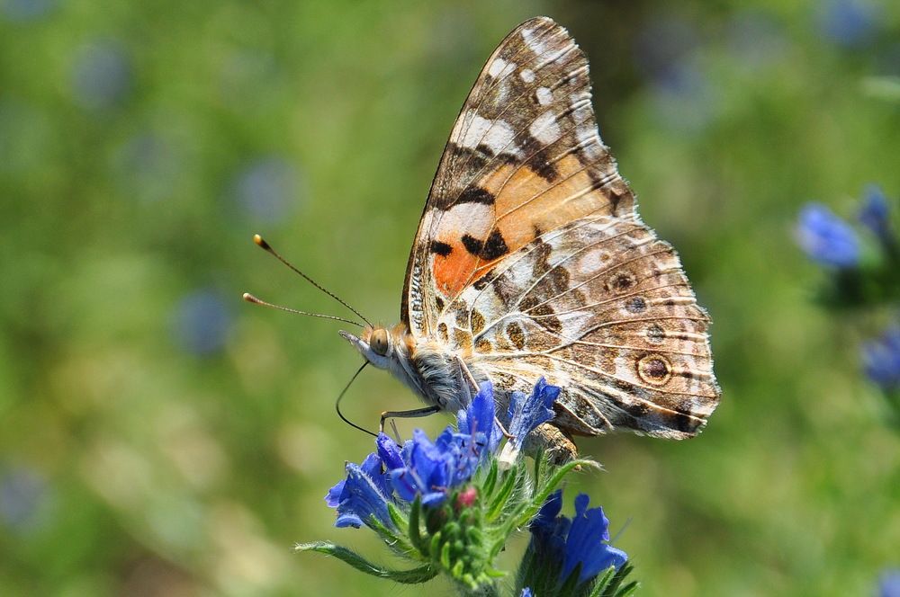 Photograph by Александр Штифман