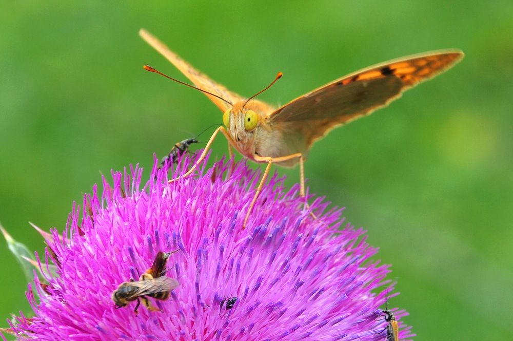 Photograph by Александр Штифман