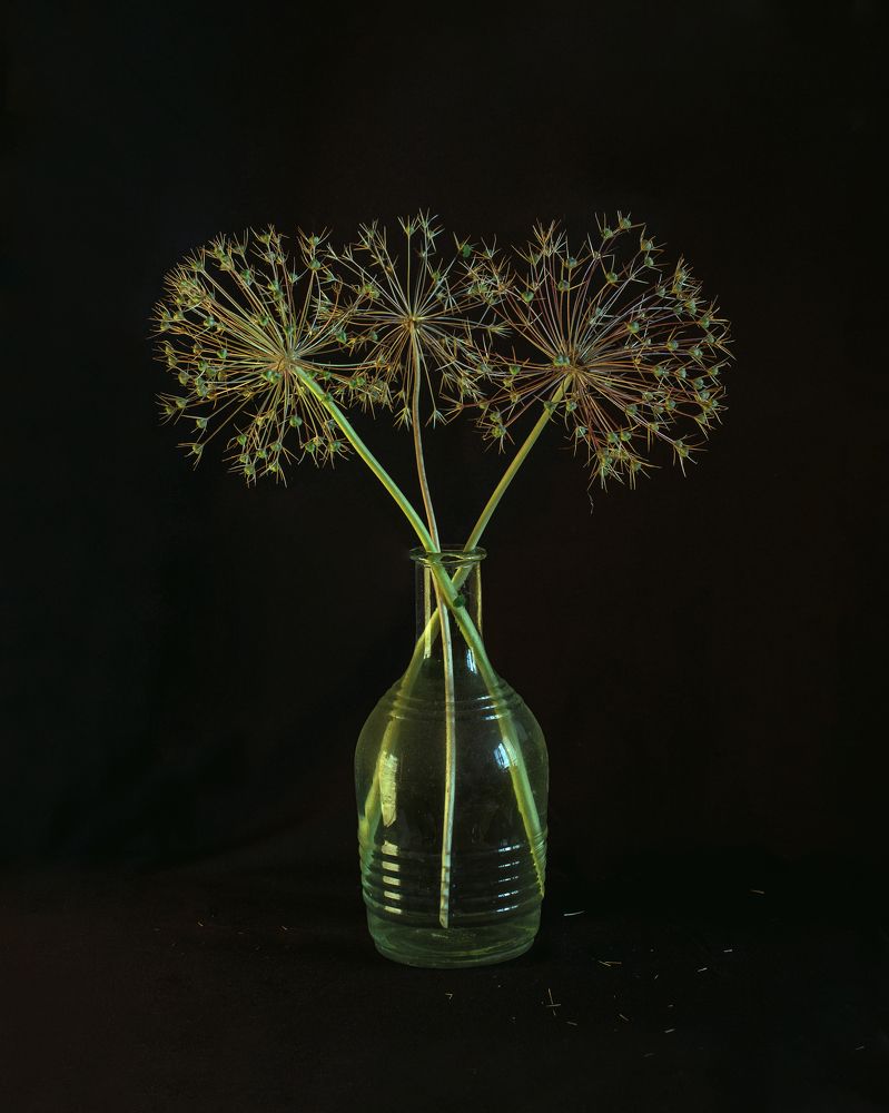 Photograph by Вера Голицына