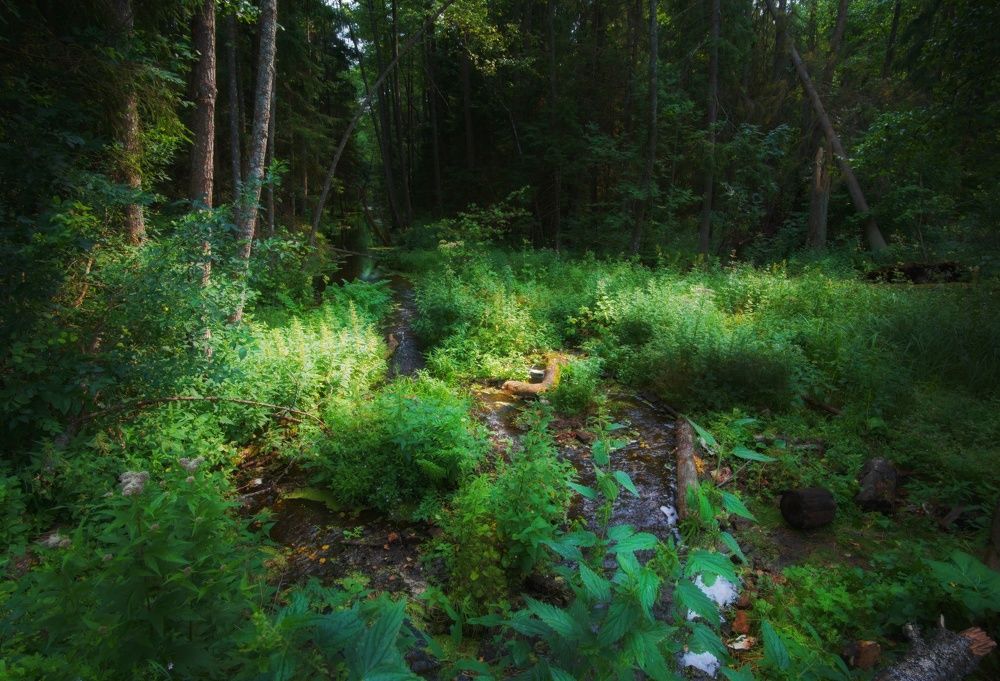 Фотография автора Андрей Врубель
