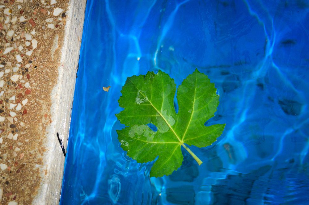 Photograph by javid Hh