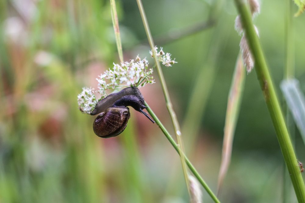 Photograph by Надежда