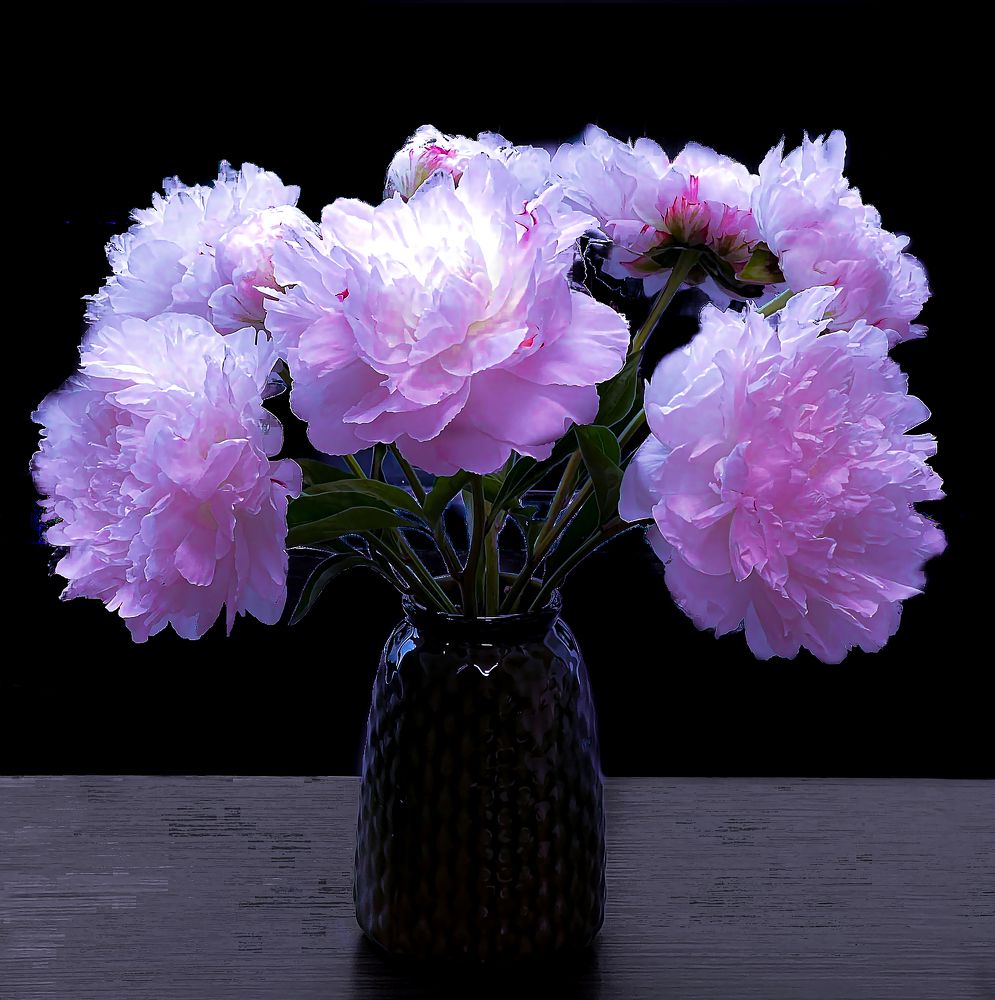 Photograph by PHƯƠNG NGUYỄN THÀNH