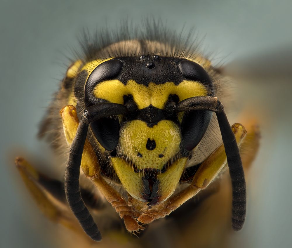 Photograph by Армен Майтесян