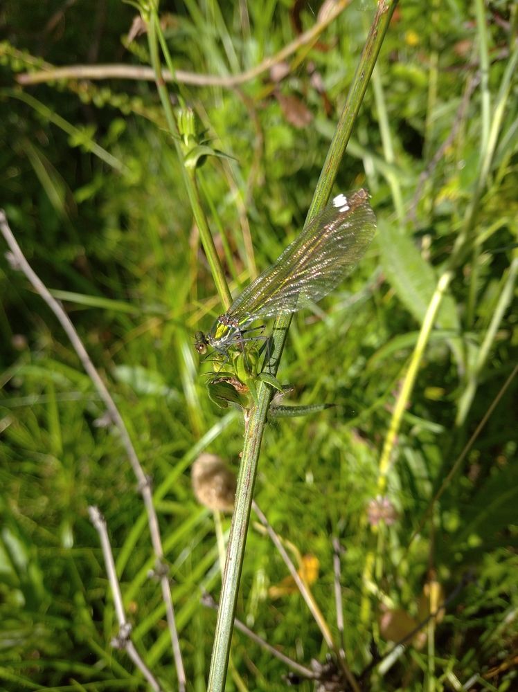 Photograph by Елена Коробченко
