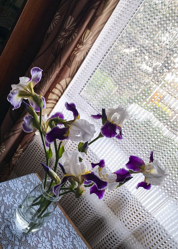 Photograph by Екатерина Меньшакова