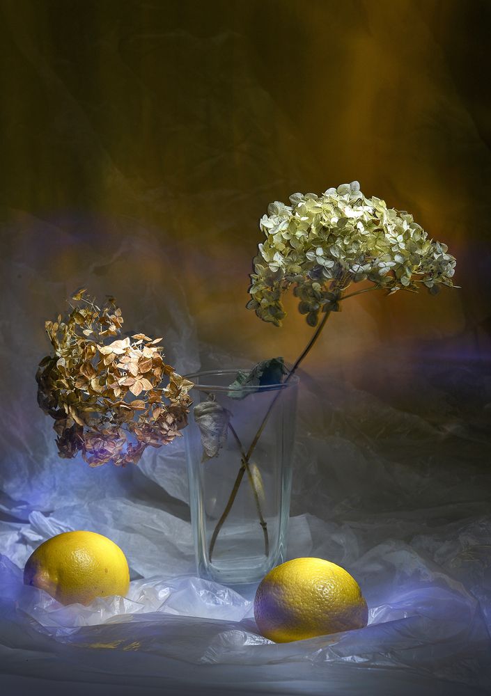 Photograph by Наталья Коньшина