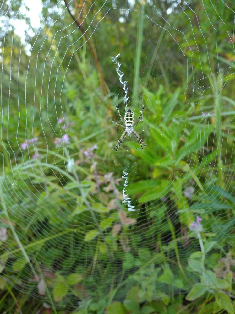 Photograph by Елена Коробченко