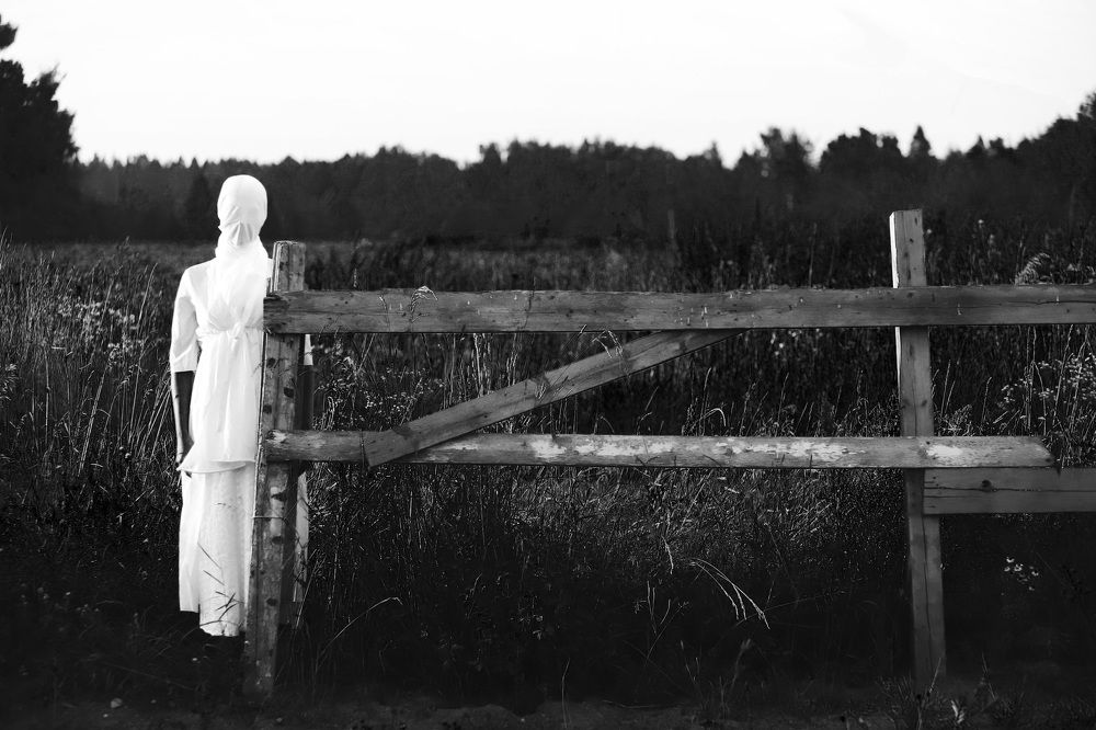 Фотография автора Валерия Витте