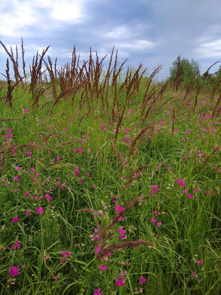 Photograph by Елена Коробченко