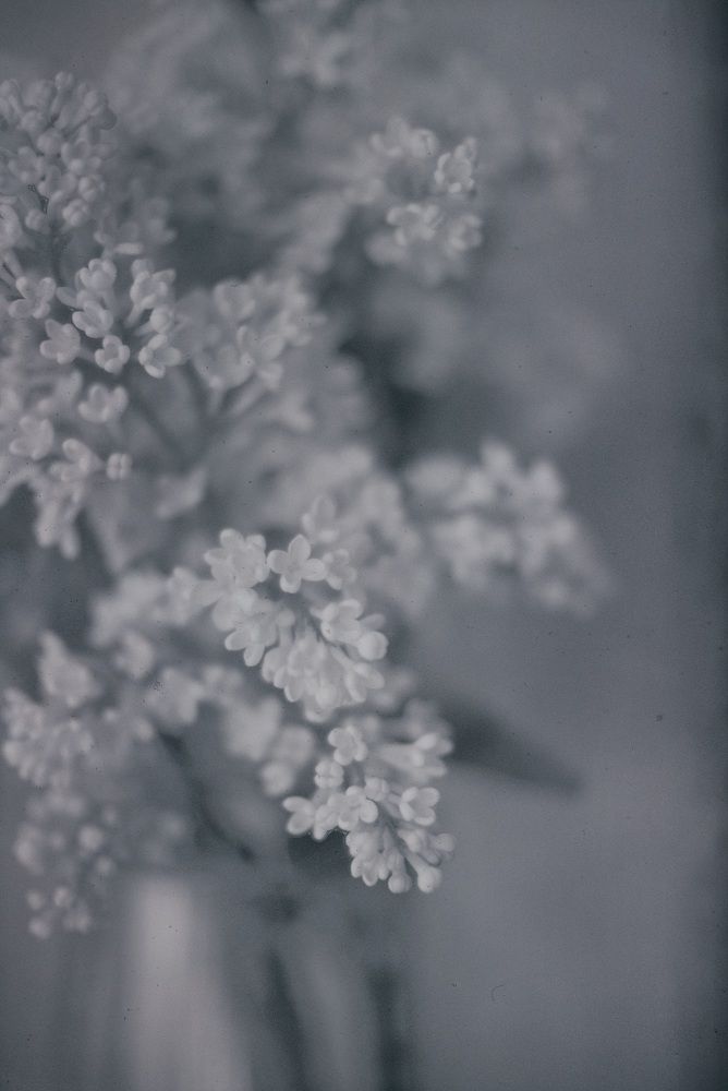 Photograph by Марина Хабибуллина