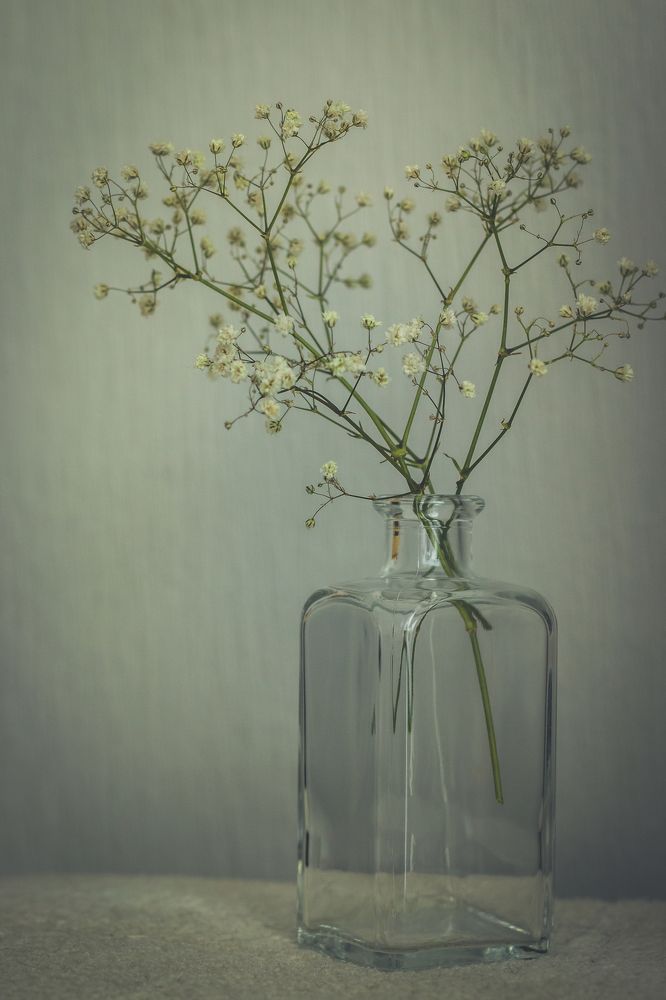 Photograph by Irina Chekanov