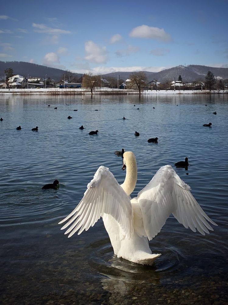 Photograph by Татьяна Семёнова