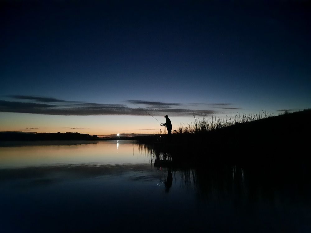 Фотография автора Елена Пикатова