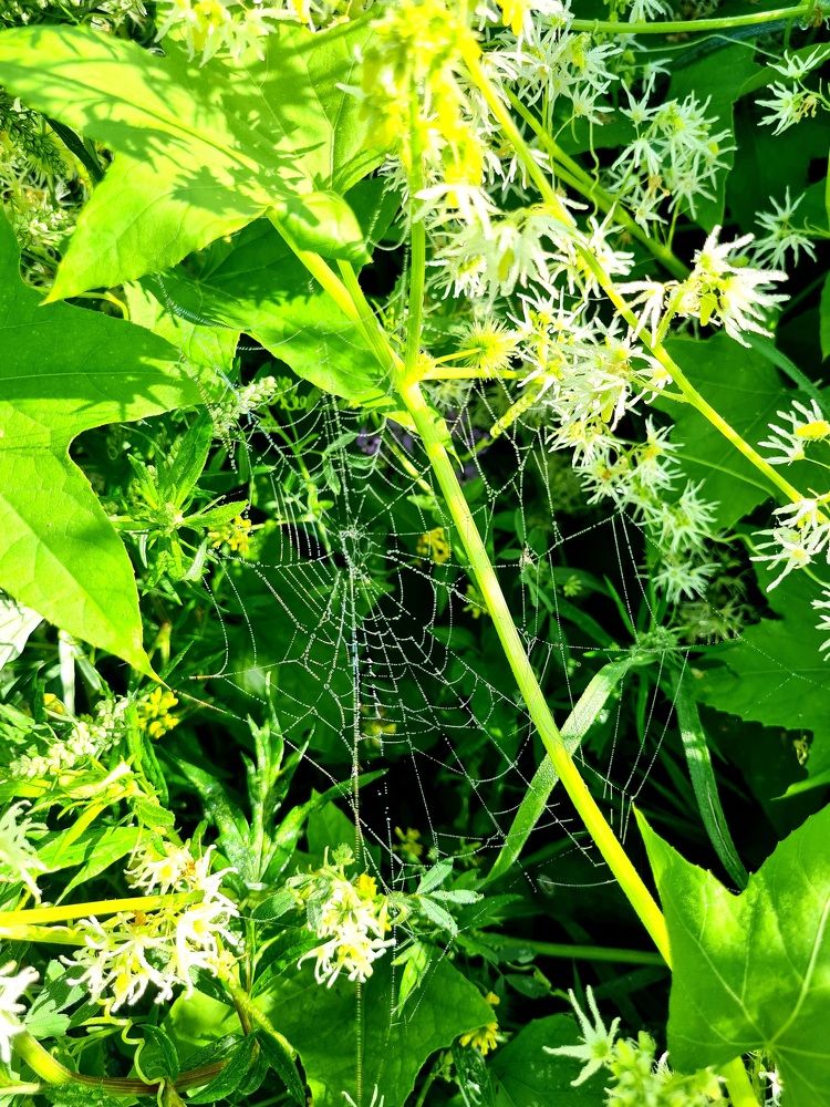 Photograph by Мария Шамина