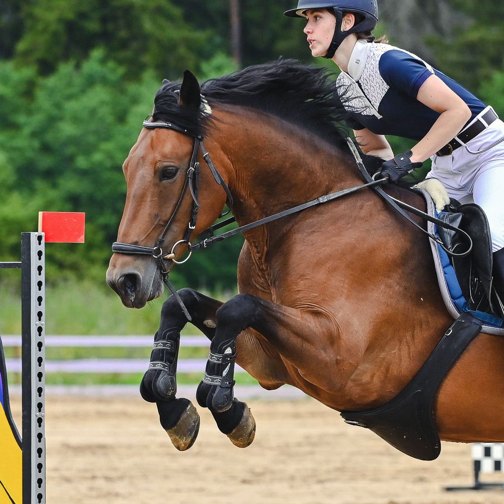 Photograph by Lesnoe Photo