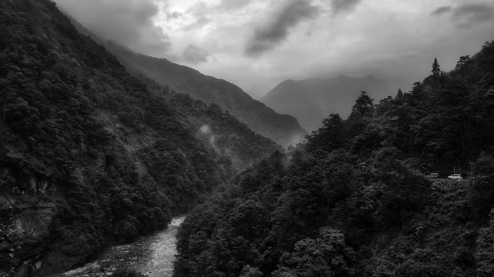 Photo #7876711