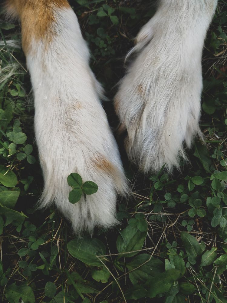 Photograph by Анна Вербилова