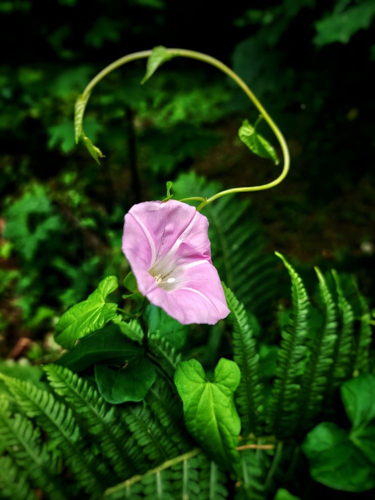 Photograph by Анна Вокуева